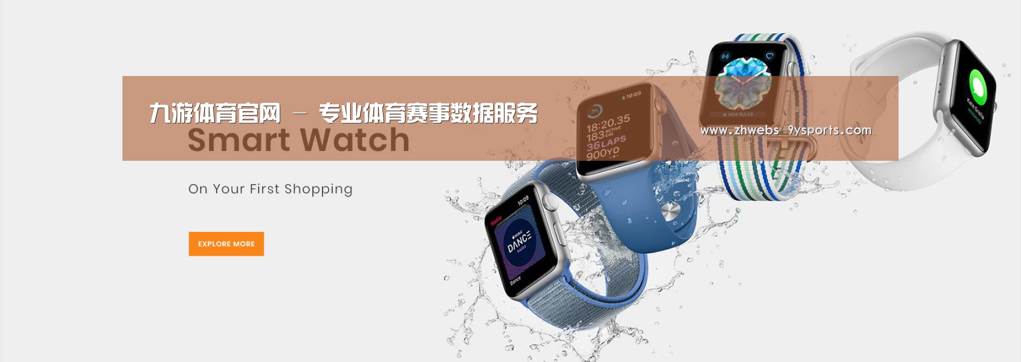 某某网络科技有限公司