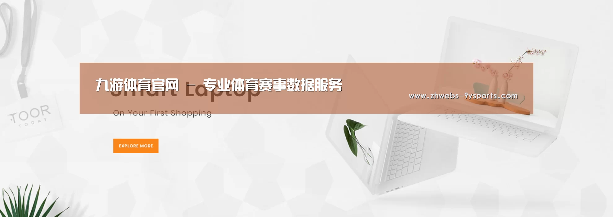 某某网络科技有限公司