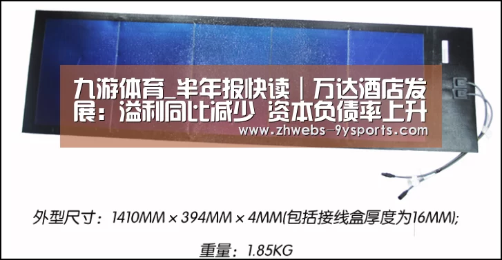 九游体育_半年报快读|万达酒店发展:溢利同比减少 资本负债率上升(图1) 九游体育