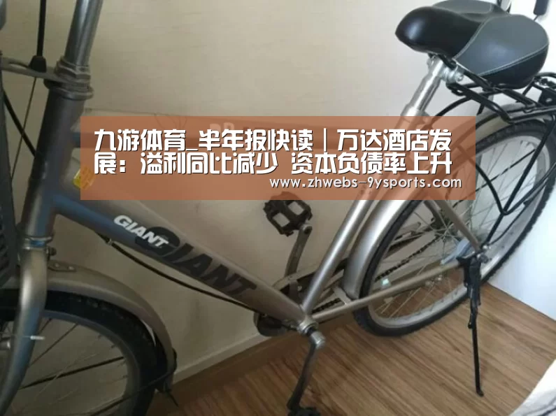 九游体育_半年报快读|万达酒店发展:溢利同比减少 资本负债率上升(图3) 九游体育