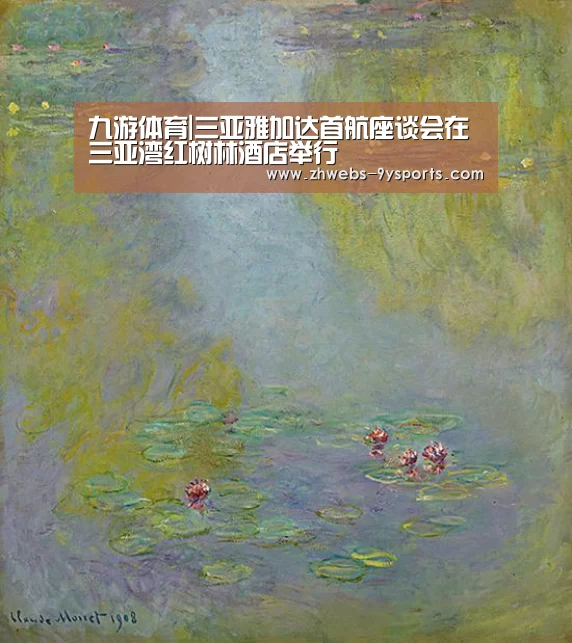 九游体育|三亚雅加达首航座谈会在三亚湾红树林酒店举行(图2) 九游体育